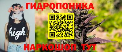 мдпв Обнинск