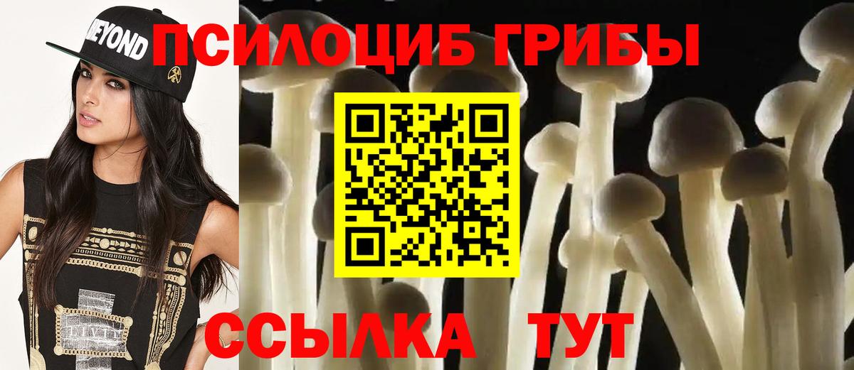 Галлюциногенные грибы GOLDEN TEACHER Октябрьский