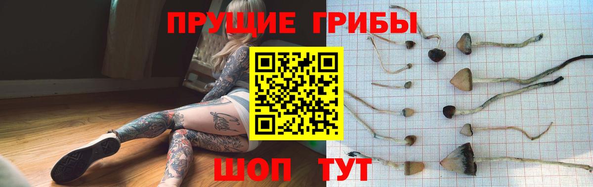 Псилоцибиновые грибы Magic Shrooms  Вход с VPN  Псилоцибиновые грибы ЛСД  Октябрьский 